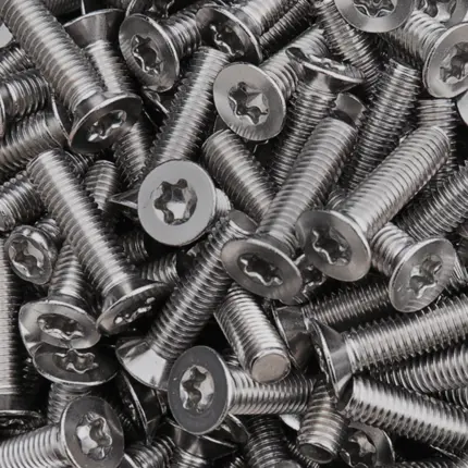 316 Stainless Steel T30 Torx Screw – M6 1