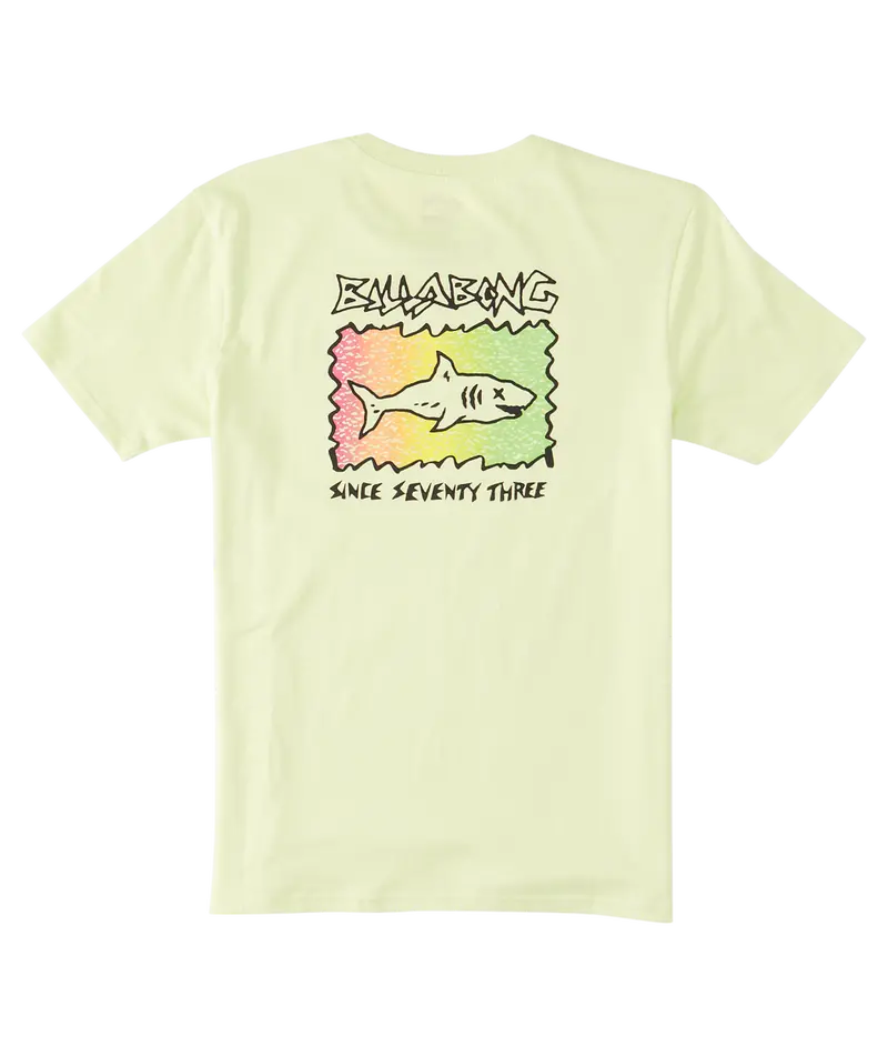Billabong Boys’ Sharky Graphic Tee – Light Green 1