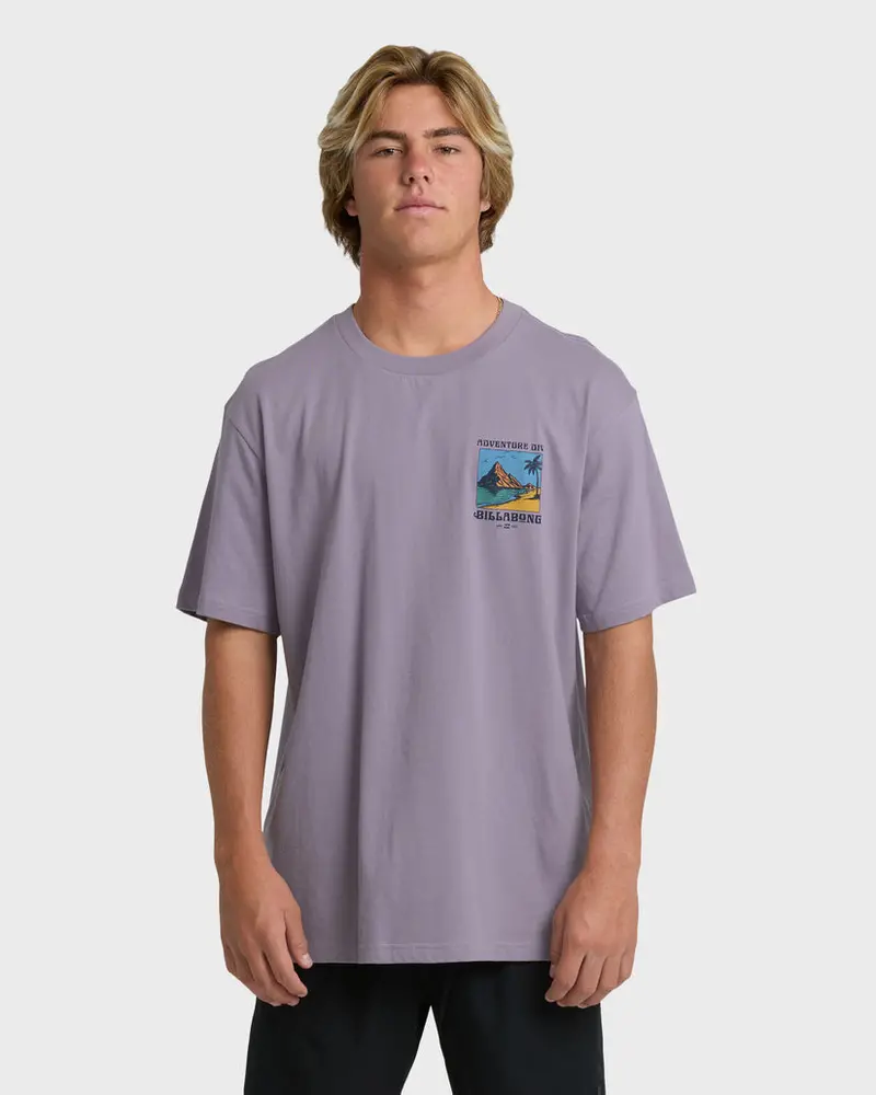 Billabong Post Cards Purple Ash Premium Tee 1