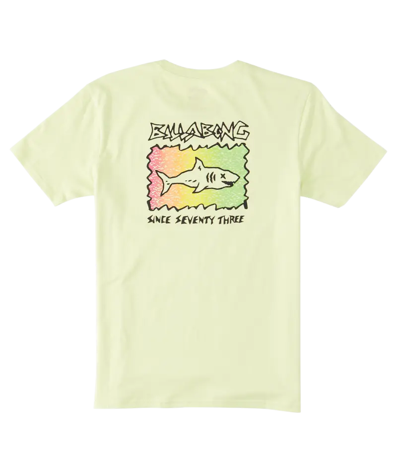 Billabong Sharky Toddler T-Shirt In Light Green 1