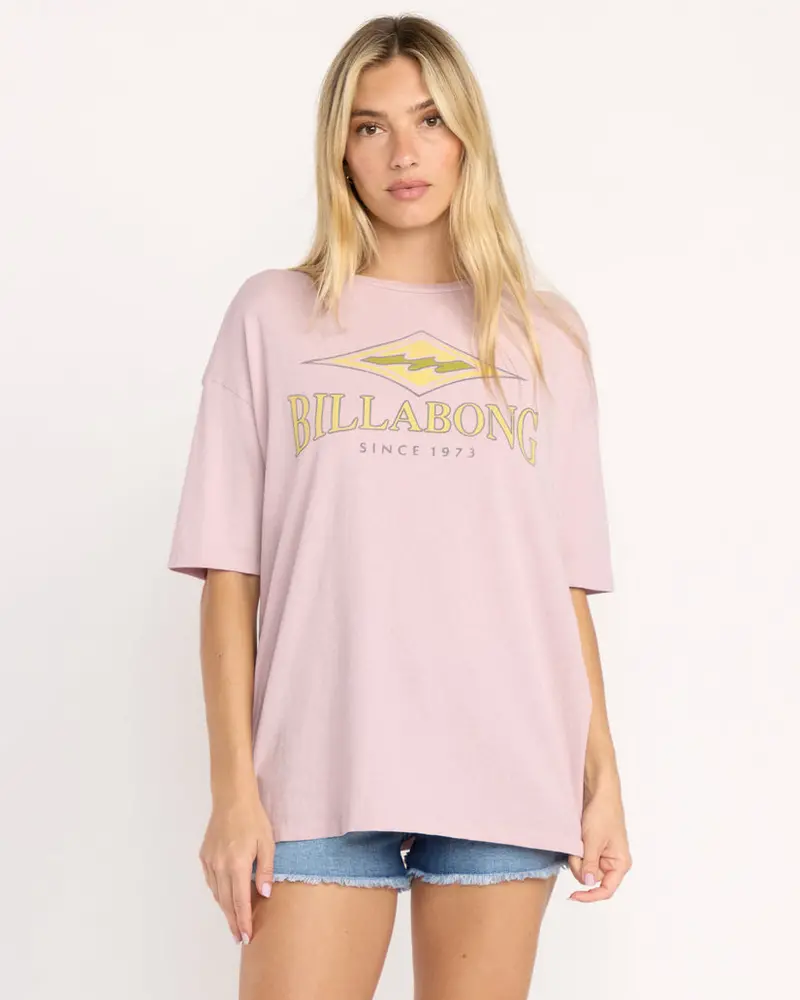 Billabong Since '73 Vintage-Style Cotton T-Shirt In Haze Grey 1