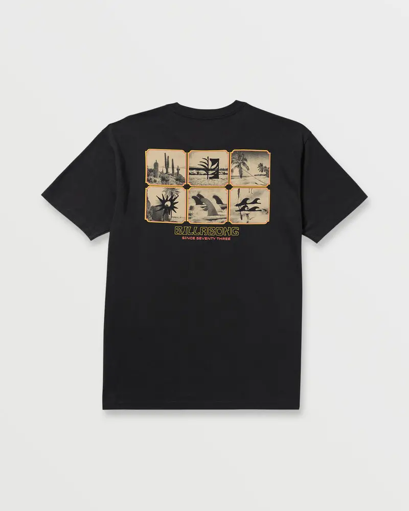 Billabong Window Premium Cotton Tee – Black 1