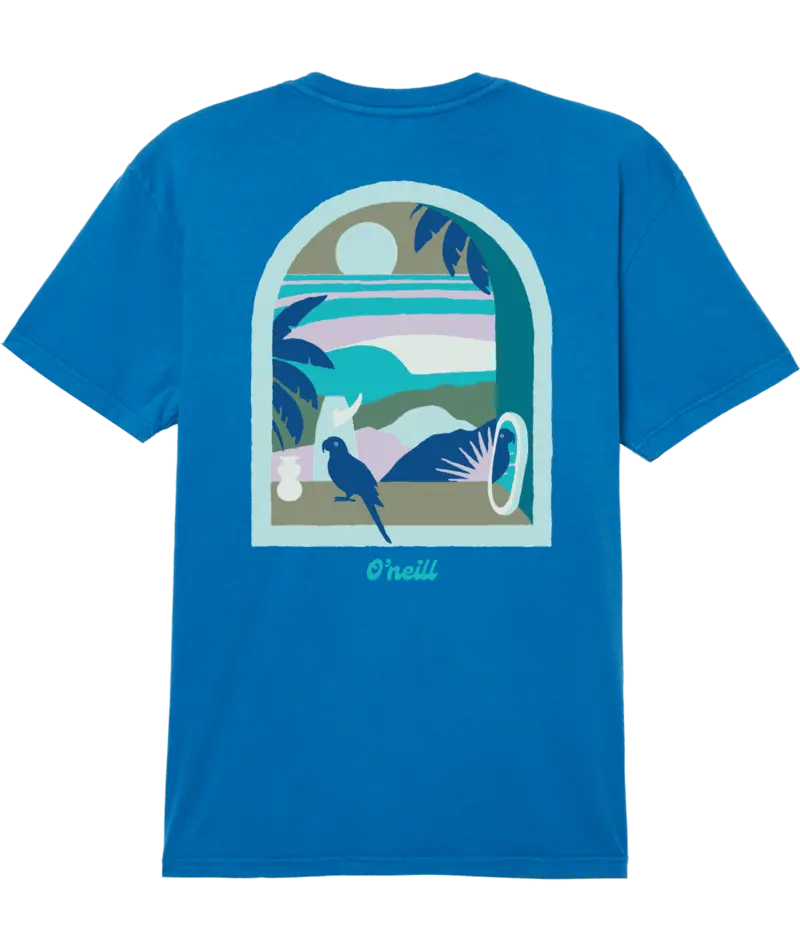 O'Neill Arches Graphic T-Shirt In Pacific Blue 1