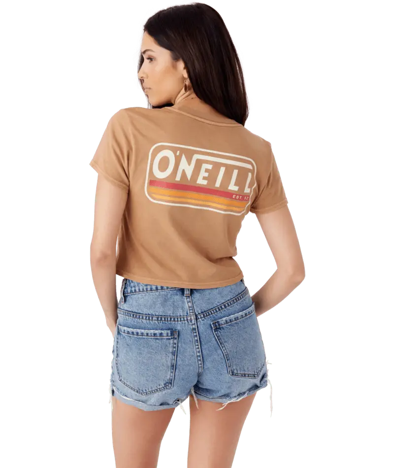 O'Neill Hideout Graphic T-Shirt – Tobacco Brown 1