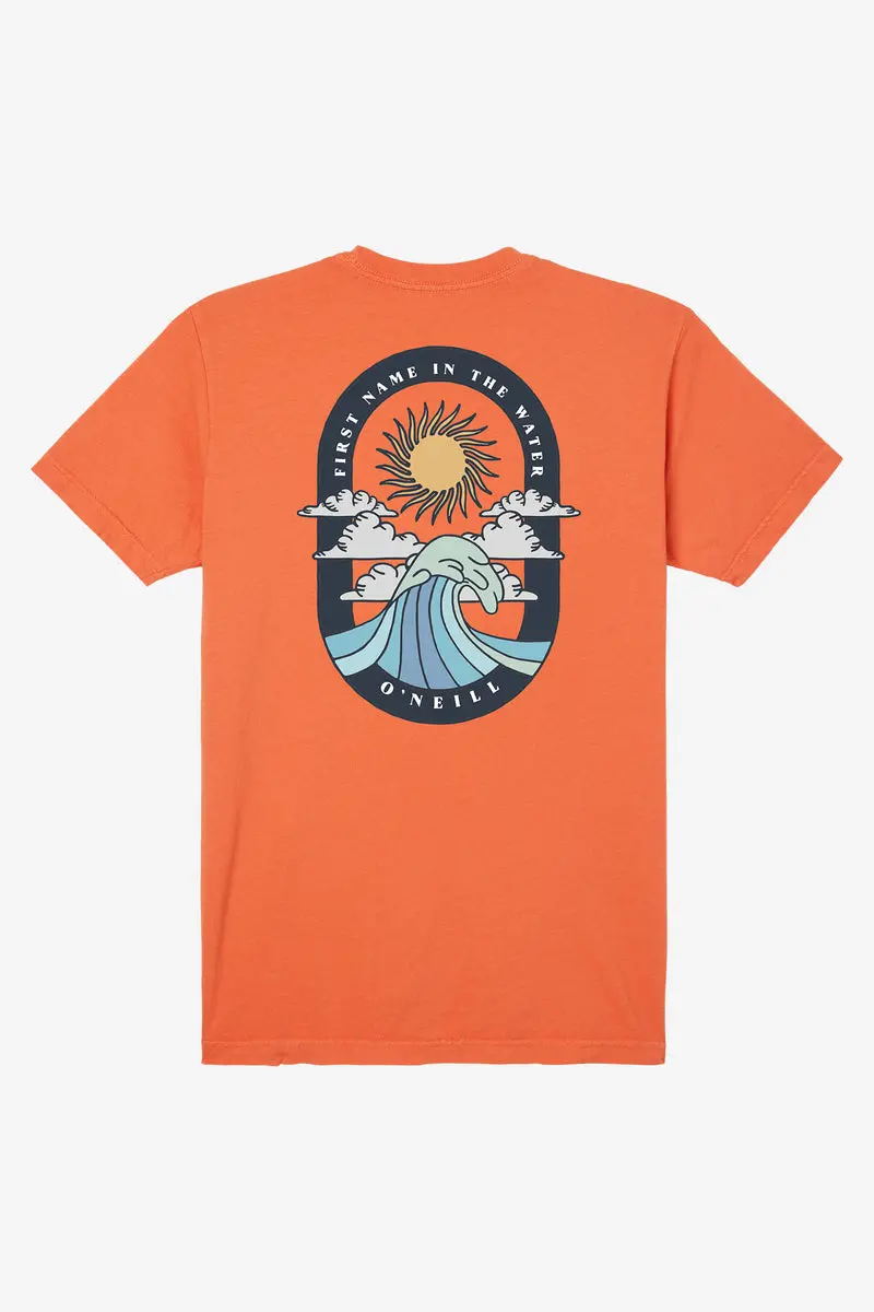 O'Neill Og Sun Protection T-Shirt In Auburn 1
