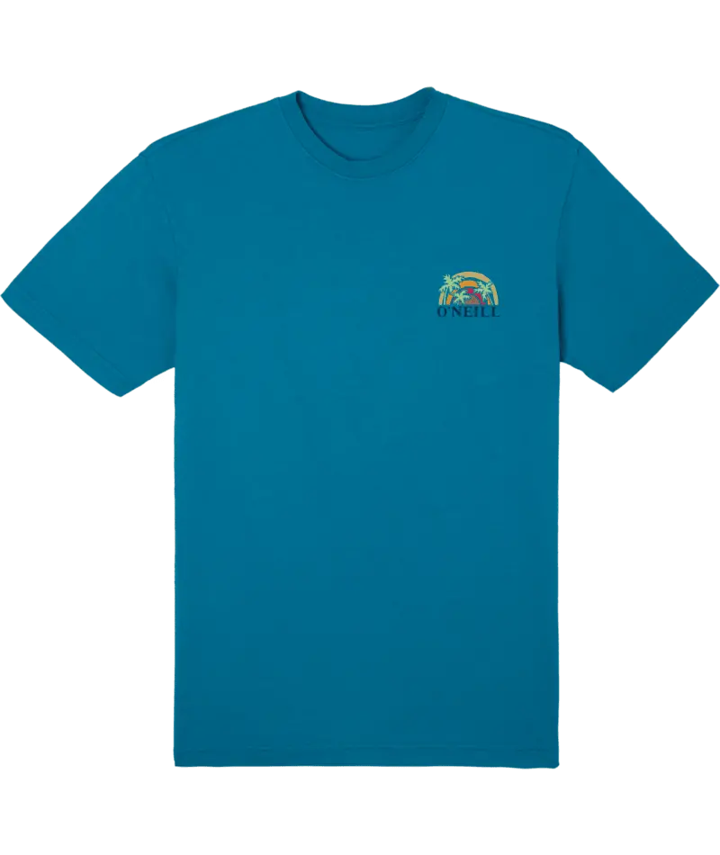O'Neill Shaved Ice Graphic T-Shirt In Bay Blue 1