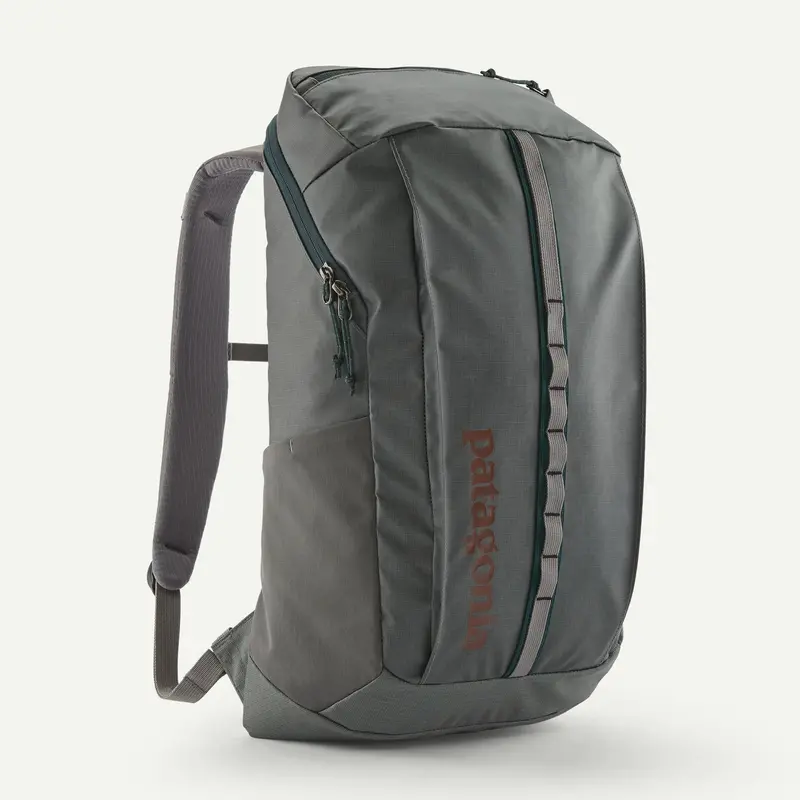 Patagonia Black Hole 25L Travel Backpack In Noble Grey 1
