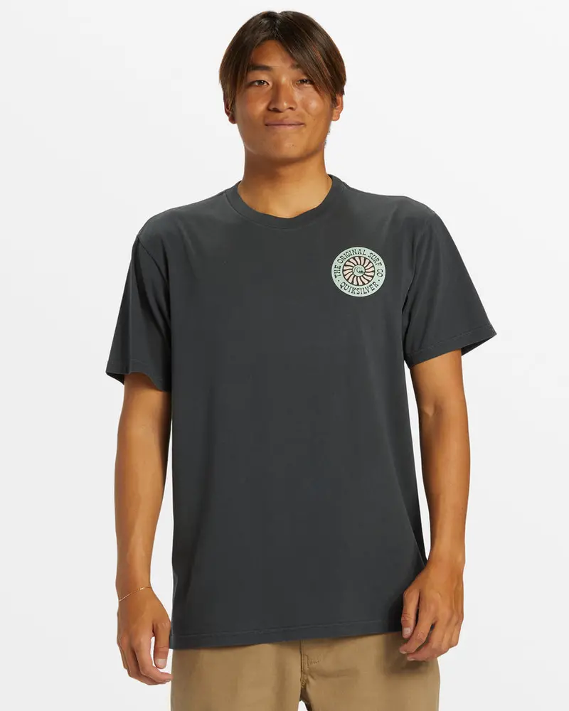 Quiksilver Bloom Cycle T-Shirt In Tarmac 1