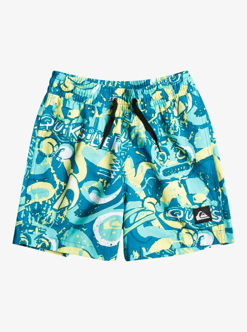 Quiksilver Boys' Next Gen Volley Boy 12 Boardshorts – Blithe 1