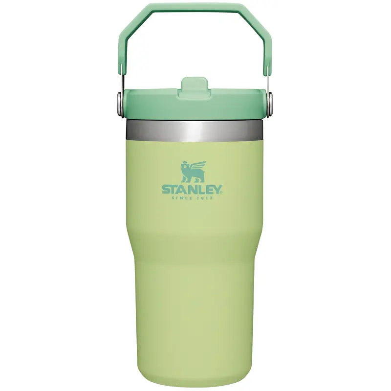 Stanley Iceflow 20 Oz Flip Straw Tumbler In Citron Green 1